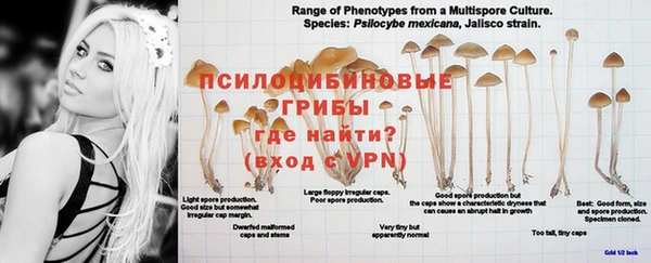 гашишное масло Балахна